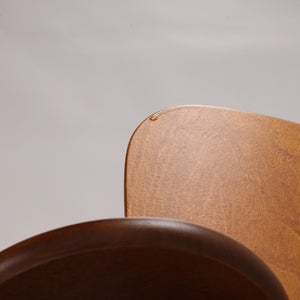 Domus chair ハニー(S)×ウォールナット(F) 0729