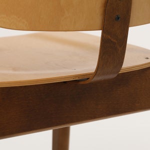 Domus chair ハニー(S)×ウォールナット(F) 0786