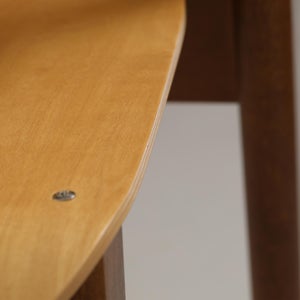 Domus chair ハニー(S)×ウォールナット(F) 0800