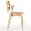 Domus chair エルム×バーチ 0251