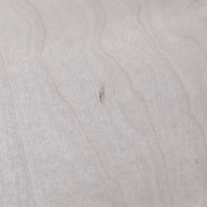 84 Table 120×120cm ナチュラル ラッカー 0002