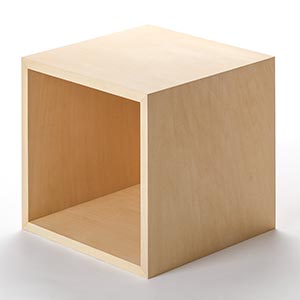 ACTP01' 箱 シナ 0156