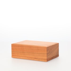 バターケース 200g 全判 2023