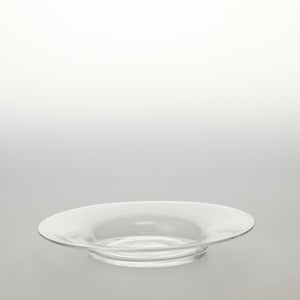 ガラスプレート 0192