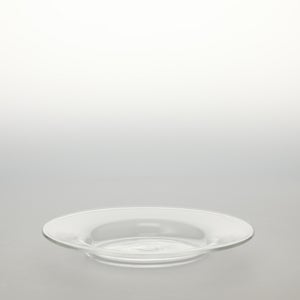 ガラスプレート 0195