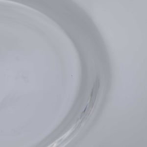 ガラスプレート 0204