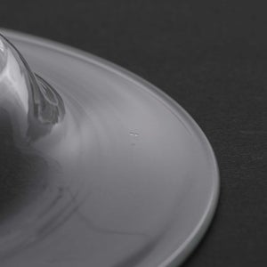 ガラスプレート 0211