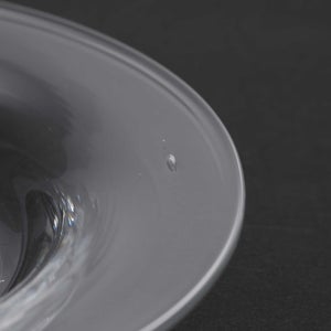 ガラスプレート 0221