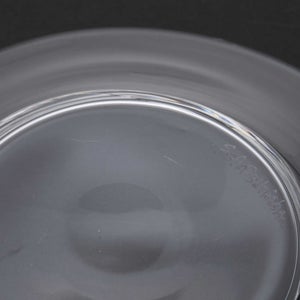 ガラスプレート 0198