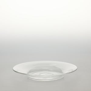 ガラスプレート 0194