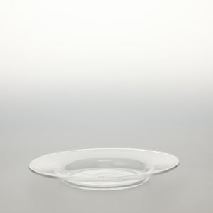 ガラスプレート 0195