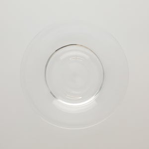 ガラスプレート 0192