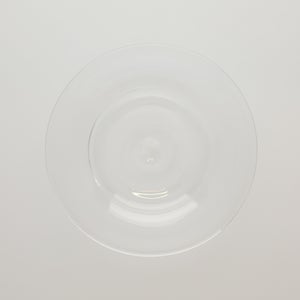 ガラスプレート 0195