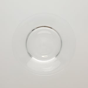 ガラスプレート 0197