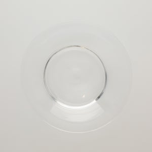 ガラスプレート 0198