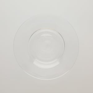 ガラスプレート 0199