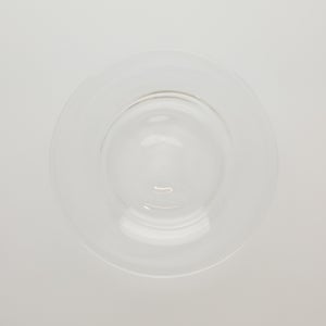 ガラスプレート 0211