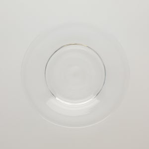 ガラスプレート 0216