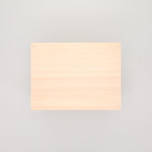 コミック判の匣 200mm 0039