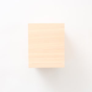 文庫判の匣 100mm 0095