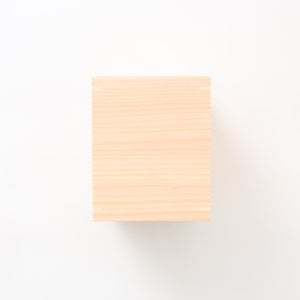 文庫判の匣 100mm 0095