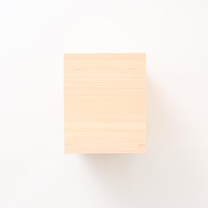 文庫判の匣 100mm 0173