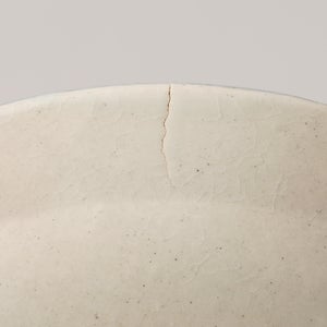 伊賀石本 花絵皿 七寸半 野の束 0555