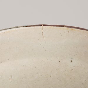 伊賀石本 花絵皿 七寸半 野の束 0556