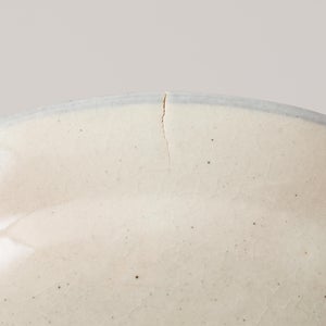 伊賀石本 花絵皿 七寸半 野の束 0557