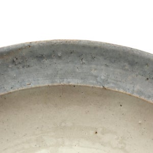 伊賀石本 花絵皿 七寸半 菜の束 0403