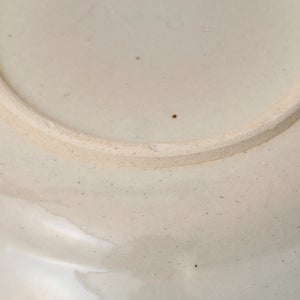 伊賀石本 花絵皿 七寸半 菜の束 0499