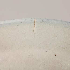 伊賀石本 花絵皿 七寸半 菜の束 0511