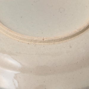 伊賀石本 花絵皿 七寸半 菜の束 0511