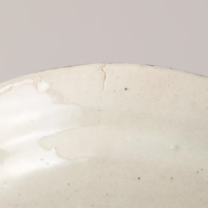 伊賀石本 花絵皿 七寸半 秋の束 0445