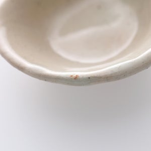 散蓮華 石灰 1021