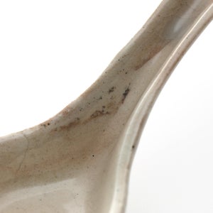 散蓮華 石灰 1024