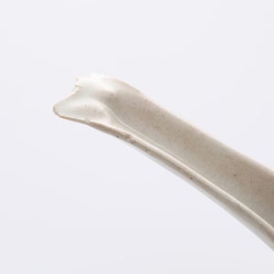 散蓮華 石灰 1028