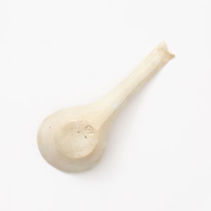 散蓮華 石灰 0908