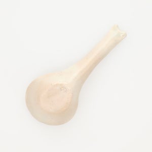 散蓮華 石灰 0961