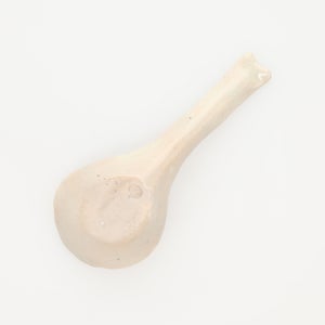 散蓮華 石灰 0973