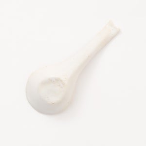 散蓮華 志野 0686