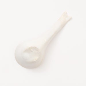 散蓮華 志野 0688