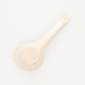 散蓮華 志野 0718