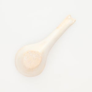 散蓮華 志野 0720