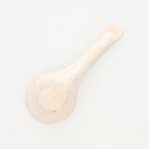 散蓮華 志野 0721