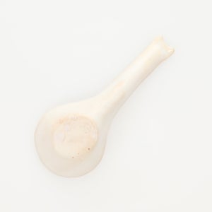 散蓮華 志野 0726