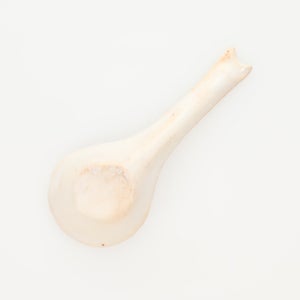 散蓮華 志野 0727