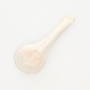 散蓮華 志野 0728