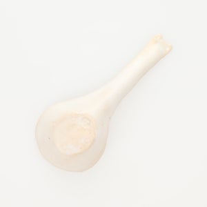 散蓮華 志野 0733