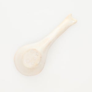 散蓮華 志野 0734